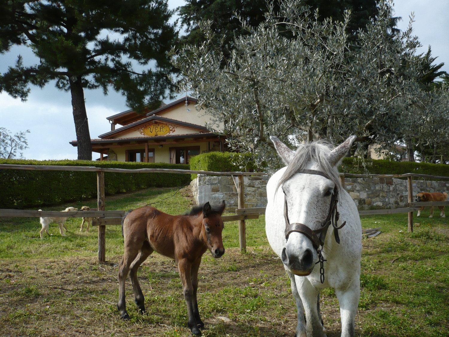 Agriturismo Villa Vea Landhaus Bellosguardo