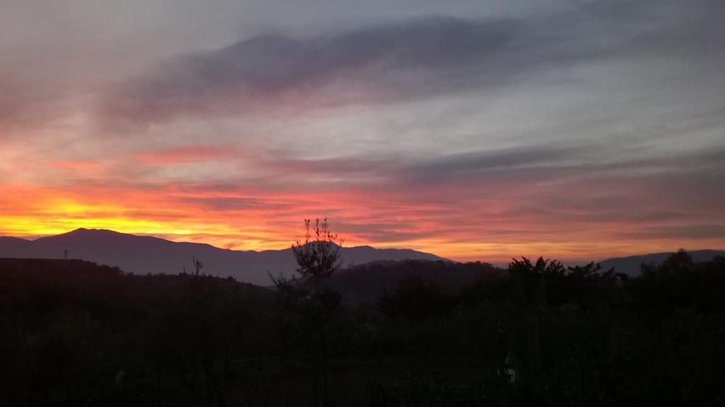 Landhaus Agriturismo Villa Vea
