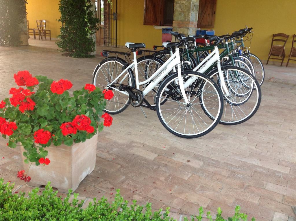 Landhaus Agriturismo Villa Vea *