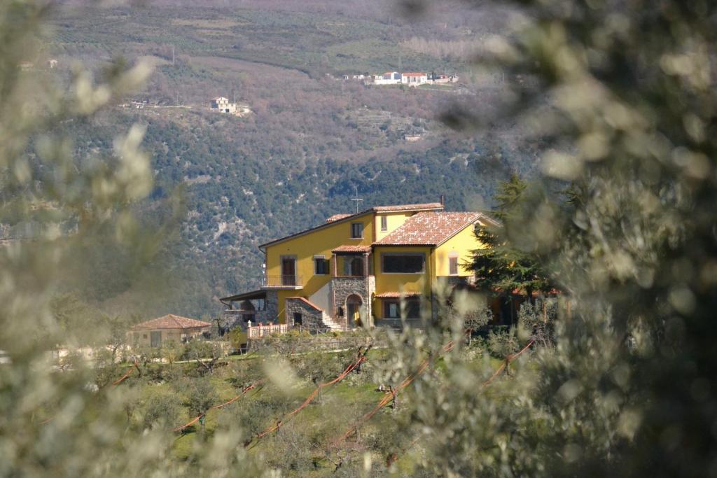 Agriturismo Villa Vea *